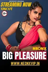 Big Pleasure 2025 Hindi Short Film Bolly4u